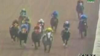 Неспортивное поведение - смотреть видео (0:29)