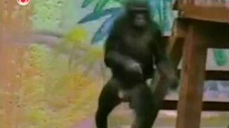 Танцуем вместе! - смотреть видео (1:48)