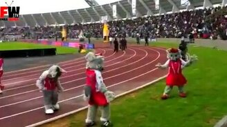 Белка оступилась - смотреть видео (0:39)