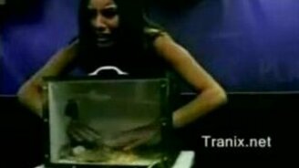 Коробка с мышами - смотреть видео (0:55)