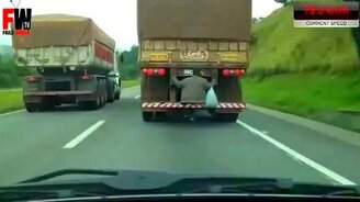 Рисковый заяц-безбилетник - смотреть видео (0:42)