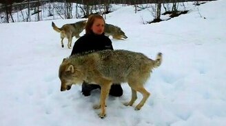 Девушка дружит с волками - смотреть видео (1:56)