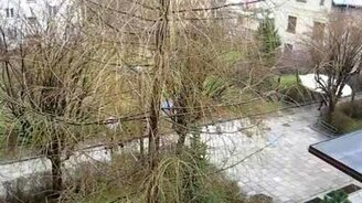 Суровый зонтик - смотреть видео (0:28)