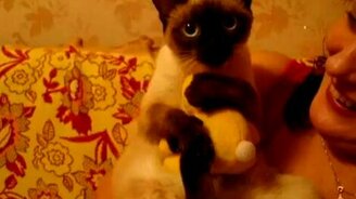 Мой любимый зайчик - смотреть видео (0:18)