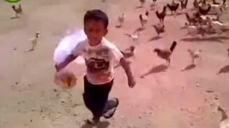 Куры нашли себе маленького вожака - смотреть видео (0:50)