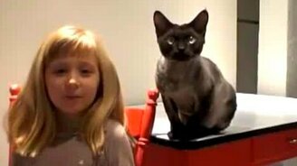 Самостоятельный кот и холодильник - смотреть видео (1:04)