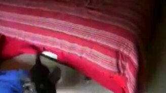 Гулять или в ванную? - смотреть видео (0:35)