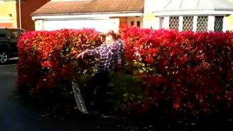 Давай покажу, как надо! - смотреть видео (0:21)