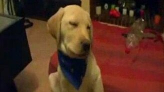 Не могу, сейчас усну - смотреть видео (0:26)