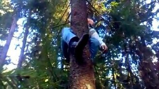 Попытка забраться на кедр - смотреть видео (0:28)