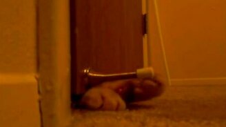 Как просыпаться без будильника - смотреть видео (1:19)