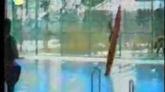 Гладко вошёл в воду - смотреть видео (0:05)