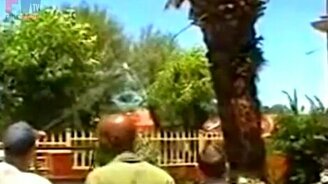 Мометальная погрузка пальмы на пикап - смотреть видео (0:55)