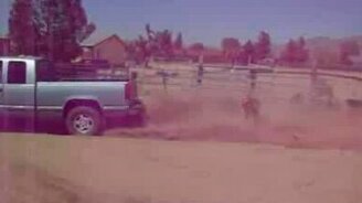 На санках по песку - смотреть видео (0:15)