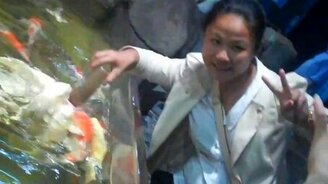 Лучший способ покормить рыбок - смотреть видео (1:42)