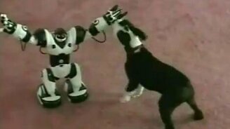 Пёсик и страшный робот - смотреть видео (0:30)