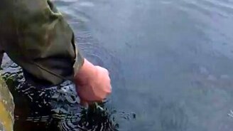 Ручной сом! - смотреть видео (1:41)