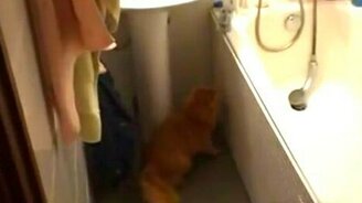 Держите дверку открытой! - смотреть видео (0:55)