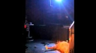 Лучшие апрельские неудачи - смотреть видео (3:00)