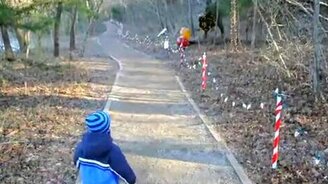 Воспринял динозавра всерьёз - смотреть видео (0:52)