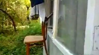 Бюджетный лифт для кошек - смотреть видео (0:22)