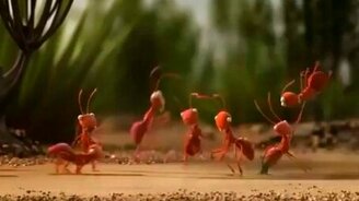 О силе единства - смотреть видео (1:19)