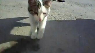 Камеру убери! - смотреть видео (0:16)