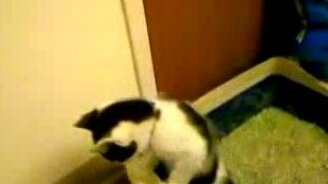 Необычная поза в лотке - смотреть видео (0:25)