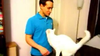 Котяра-обнимака - смотреть видео (0:09)