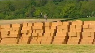 Безумный прыжок без парашюта - смотреть видео (1:00)