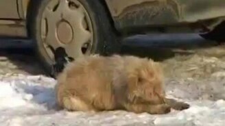 Ну поделись со мной! - смотреть видео (2:22)