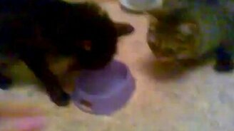 Это моя вода! - смотреть видео (0:31)