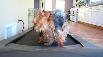 Жёсткое состязание на дорожке - смотреть видео (0:18)