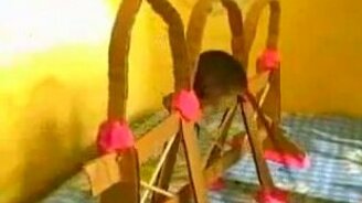 Самая умная мышь в мире - смотреть видео (2:47)