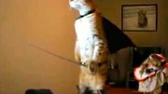 Кот в сапогах - смотреть видео (0:44)