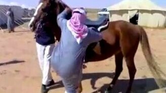 Толстый араб и лошадь - смотреть видео (0:39)