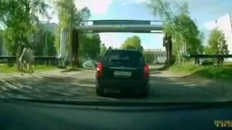 Верблюд из ниоткуда - смотреть видео (0:15)