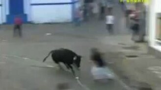 Игры с бешеным быком 3 - смотреть видео (6:15)