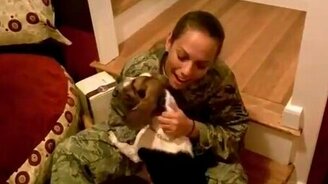 Хозяйка вернулась! - смотреть видео (1:35)