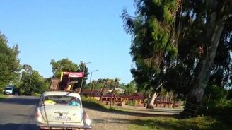 Овчарка на багажнике - смотреть видео (0:26)