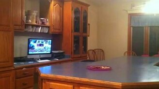 Собачка-проказница - смотреть видео (1:50)