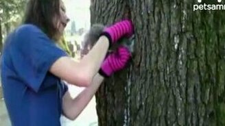 Девушки спасли белку - смотреть видео (0:34)