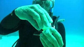 Что, если разбить яйцо в океане? - смотреть видео (0:58)