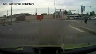 Пожилая курица - смотреть видео (1:02)