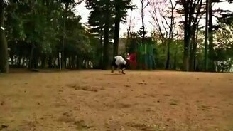 Японский человек-обезьяна - смотреть видео (1:57)