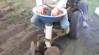 Сажаем картошку - смотреть видео (1:38)