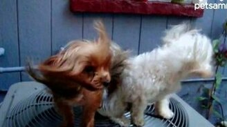 Ну прям ощущение полёта! - смотреть видео (0:30)