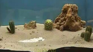 Химический монстр - смотреть видео (3:10)