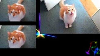 Кошачья песня - смотреть видео (4:22)