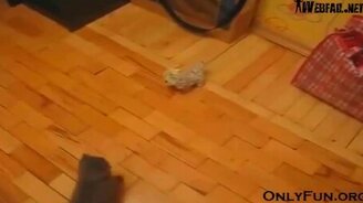 Котёнок-нинздя против игрушки - смотреть видео (0:15)